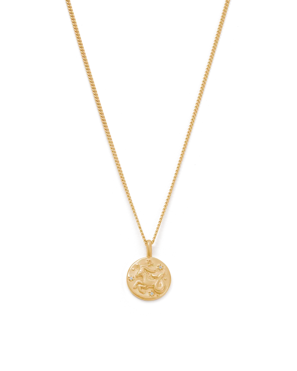 Capricorn Petite Zodiac Necklace - Gold