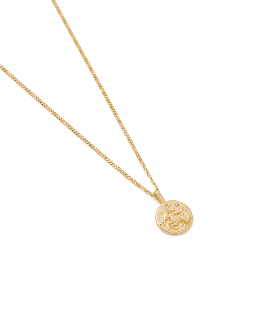 Capricorn Petite Zodiac Necklace - Gold