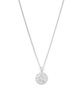 Capricorn Petite Zodiac Necklace - Silver