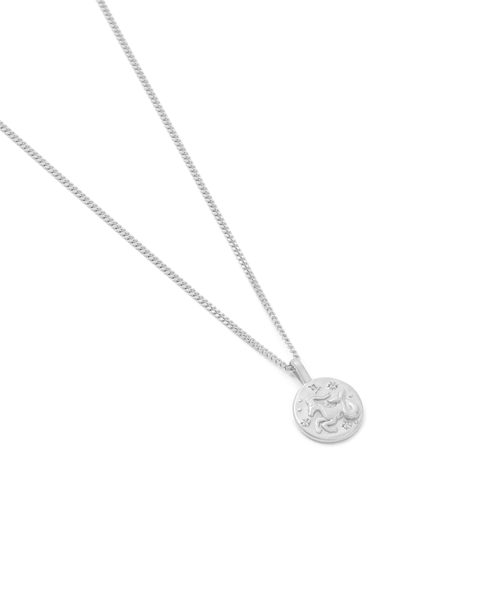 Capricorn Petite Zodiac Necklace - Silver