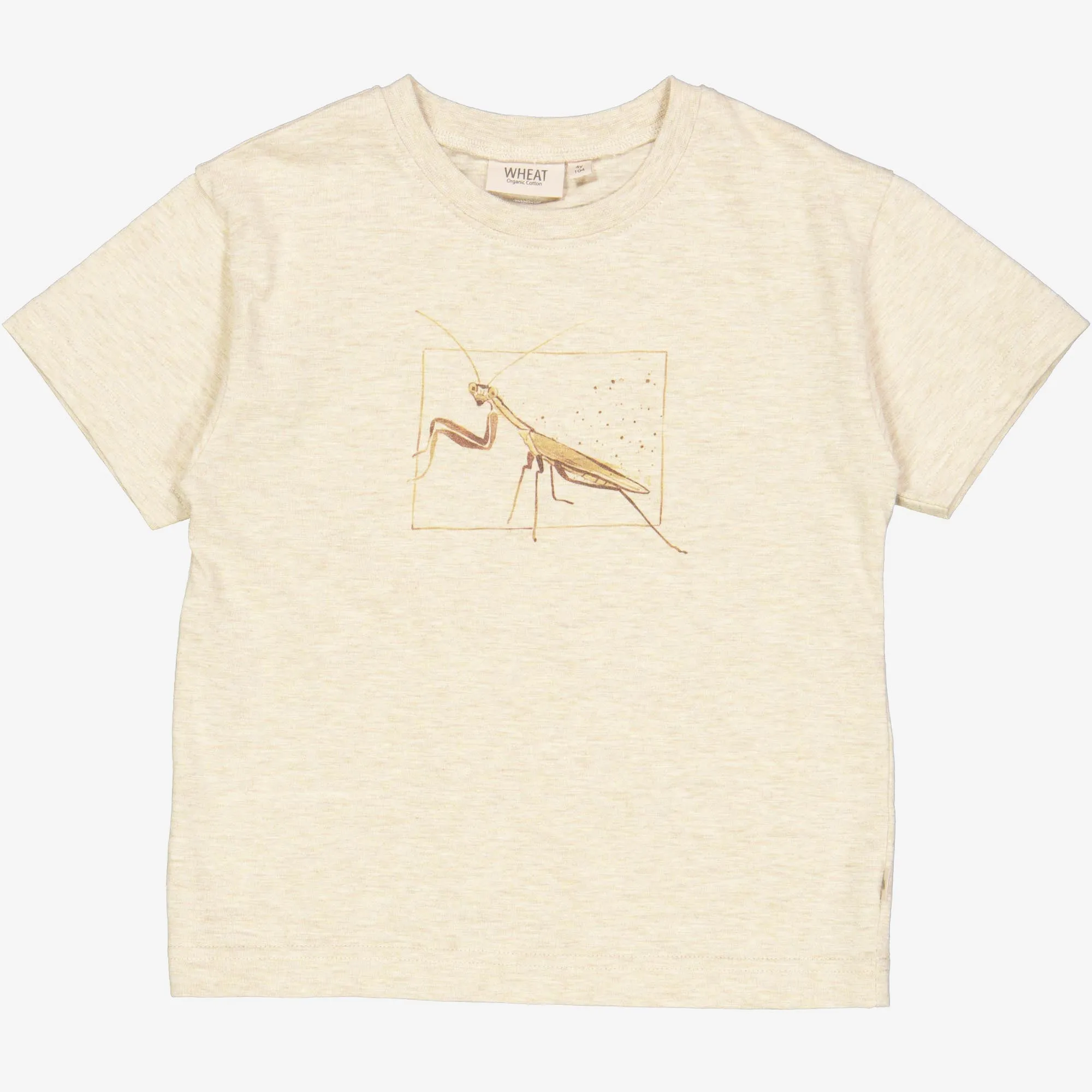 T-Shirt Insects - buttermilk melange